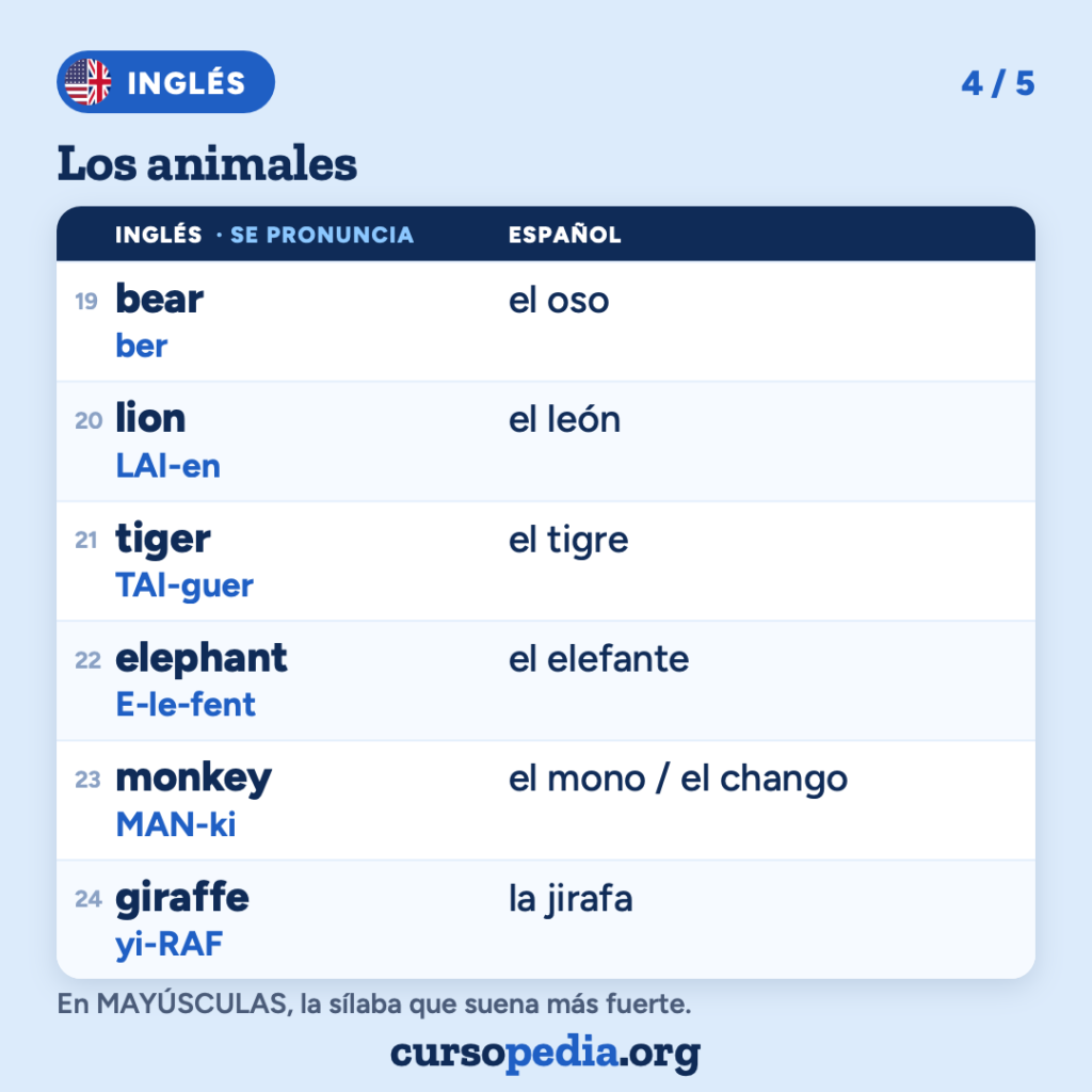 Los animales en inglés — imagen 5 de 6