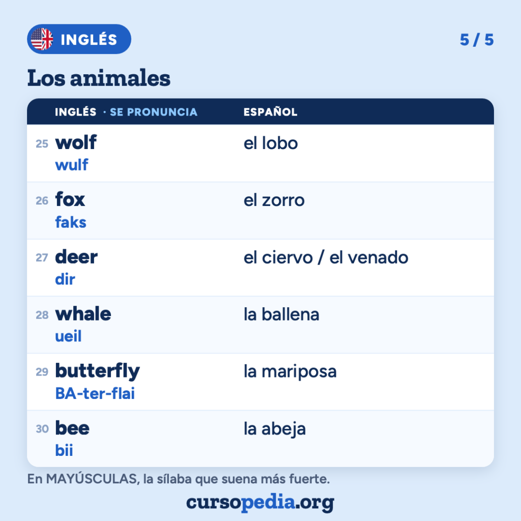 Los animales en inglés — imagen 6 de 6