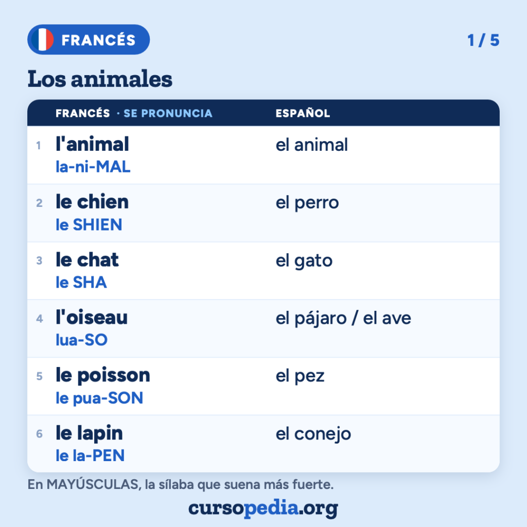 Los animales en francés — imagen 2 de 6