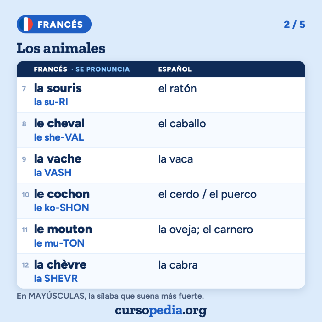 Los animales en francés — imagen 3 de 6