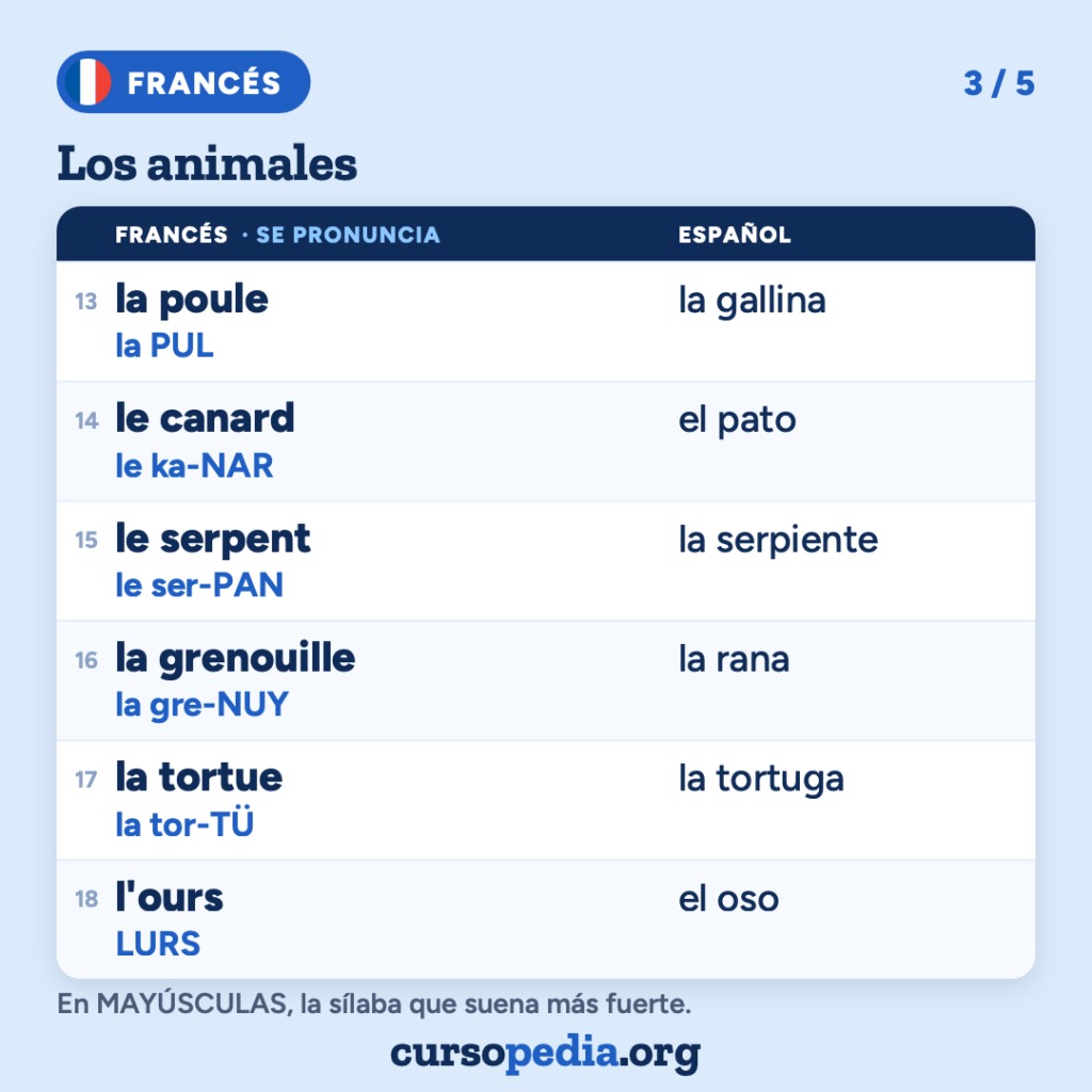 Los animales en francés — imagen 4 de 6
