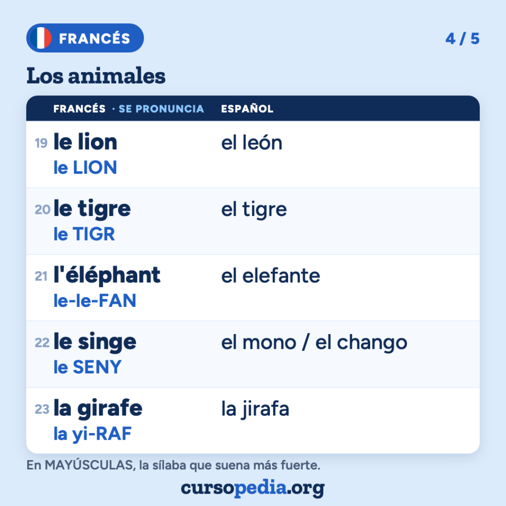 Los animales en francés — imagen 5 de 6