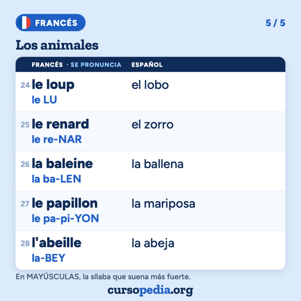 Los animales en francés — imagen 6 de 6